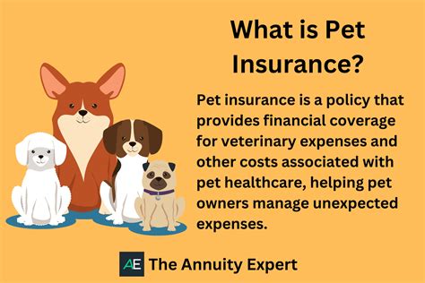 cheap pet insurance for seniors.